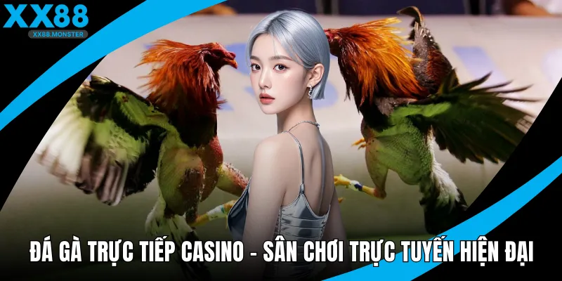 Đá gà trực tiếp casino