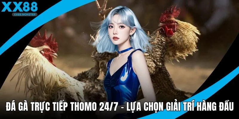 Đá gà trực tiếp Thomo 24/7