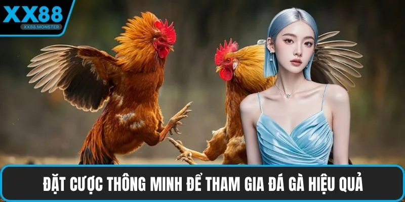 Đặt cược thông minh để tham gia đá gà hiệu quả