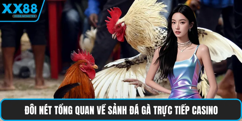 Đôi nét tổng quan về sảnh đá gà trực tiếp casino