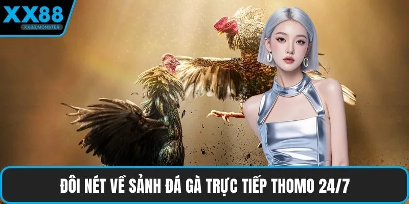 Đôi nét về sảnh đá gà trực tiếp Thomo 24/7