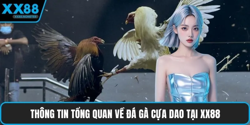 Thông tin tổng quan về đá gà cựa dao tại XX88