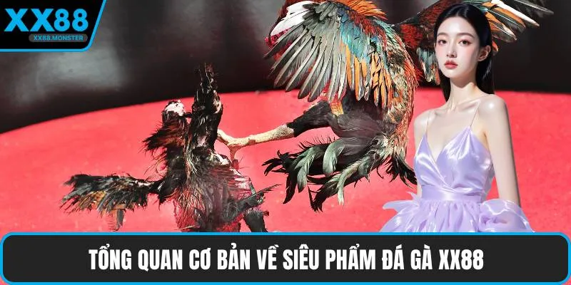 Tổng quan cơ bản về siêu phẩm đá gà XX88
