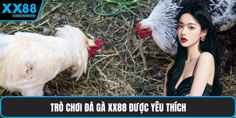 Trò chơi đá gà XX88 được yêu thích